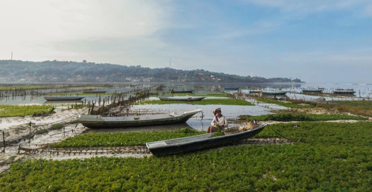 FARMED BY THE SEA  